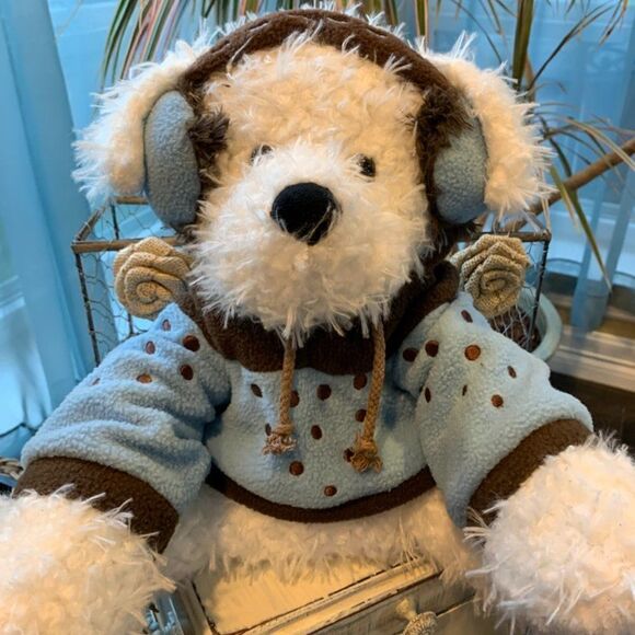 Hug Fun Bear with Sweater and Ear Muffs - Picture 1 of 6